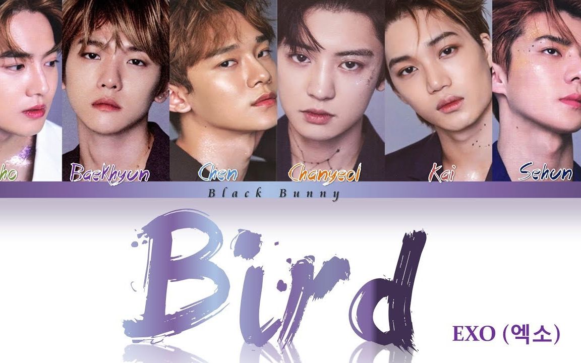 Exo最新日文单曲bird音源公开下载 Av 音乐综合 音乐 看哔哩哔哩 Bilibili日报 视频下载