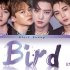 EXO最新日文单曲Bird音源公开