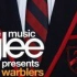 【Glee】林莺合唱团.Warblers.Cut.（更新中）