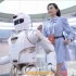 2021年国际机器人大赛，有趣机器人介绍。
