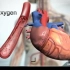 【3D动画演示】3D动画带你领略不一样的医学世界