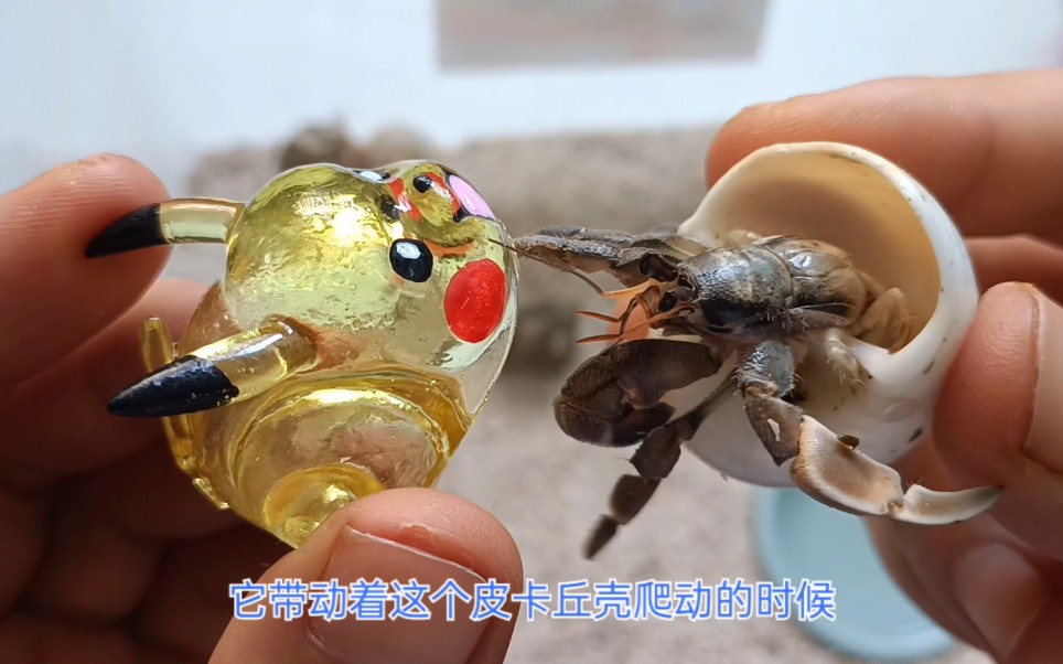 Petalstoneparts Hd Videos