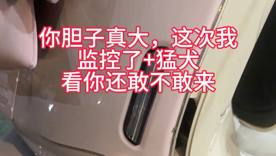 有旺财在，我看谁还敢动一下