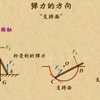 弹力的方向