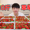 小伙花300元买10斤草莓，自制草莓干，酸酸甜甜真好吃