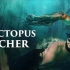 豆瓣9.3！网飞新片《我的章鱼老师》：每天潜水去看一只章鱼，会出现怎样的神奇？【中字】