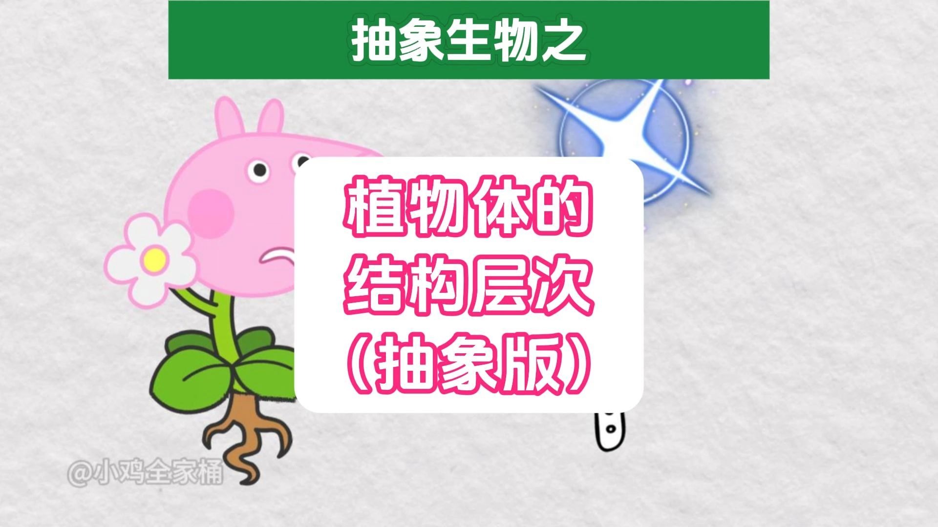 抽象！植物体的结构层次