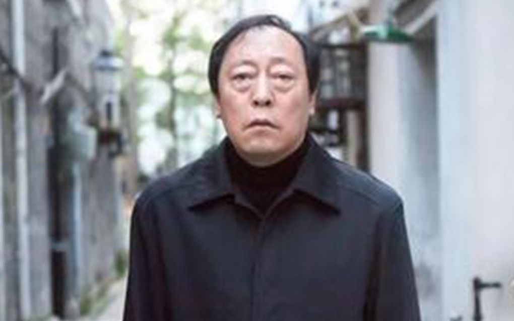 倪大红主演的电视剧