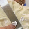 你吃过吗烧麦
