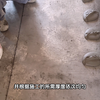 地砖薄贴施工工艺