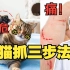 猫抓伤：第一时间打疫苗吗？错！【医生科普】