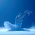 【空境素材剪辑练习】芭蕾#坠海#后退#舞蹈#梦境