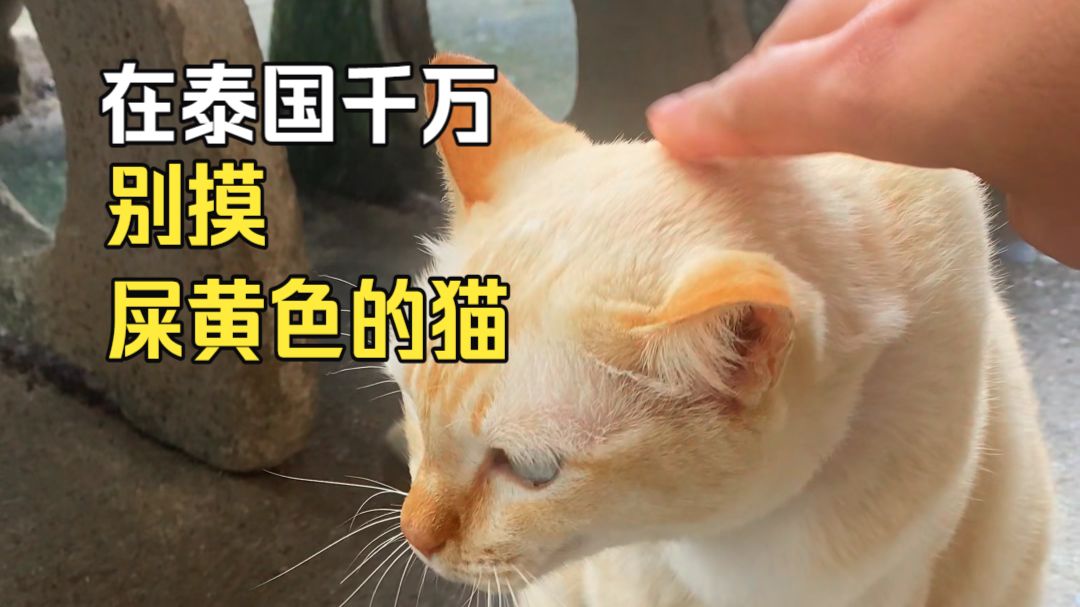 一伸手 一小时过去了