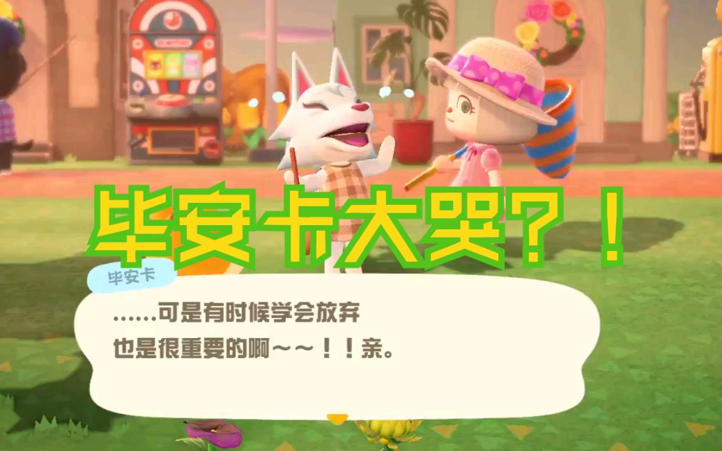 动物森友会满脑子肌肉的哈姆又双叒迫害毕安卡