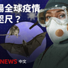 伊波拉、新冠到漢他病毒：為何動物傳染人類引發越來越多疫情？－ BBC News 中文