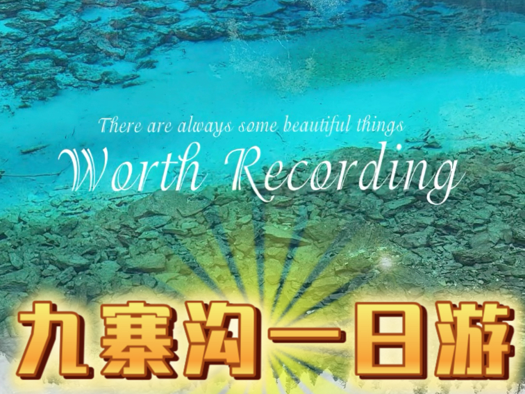 刚刚的箭竹海瀑布