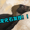 垃圾清洁工再就业！驰龙化石发现！！ 恐龙化石猎人