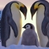 帝企鹅如何寻找配偶，如何养育幼崽，并将它们安全带大！太萌了！