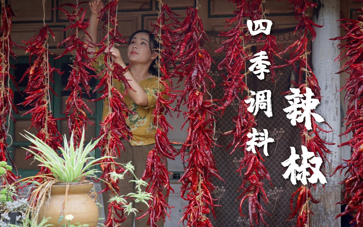 四季调料（十一）一年收一次辣椒，吃一年的火热幸福【滇西小哥】