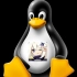 【原神】原神登录新平台Linux啦！
