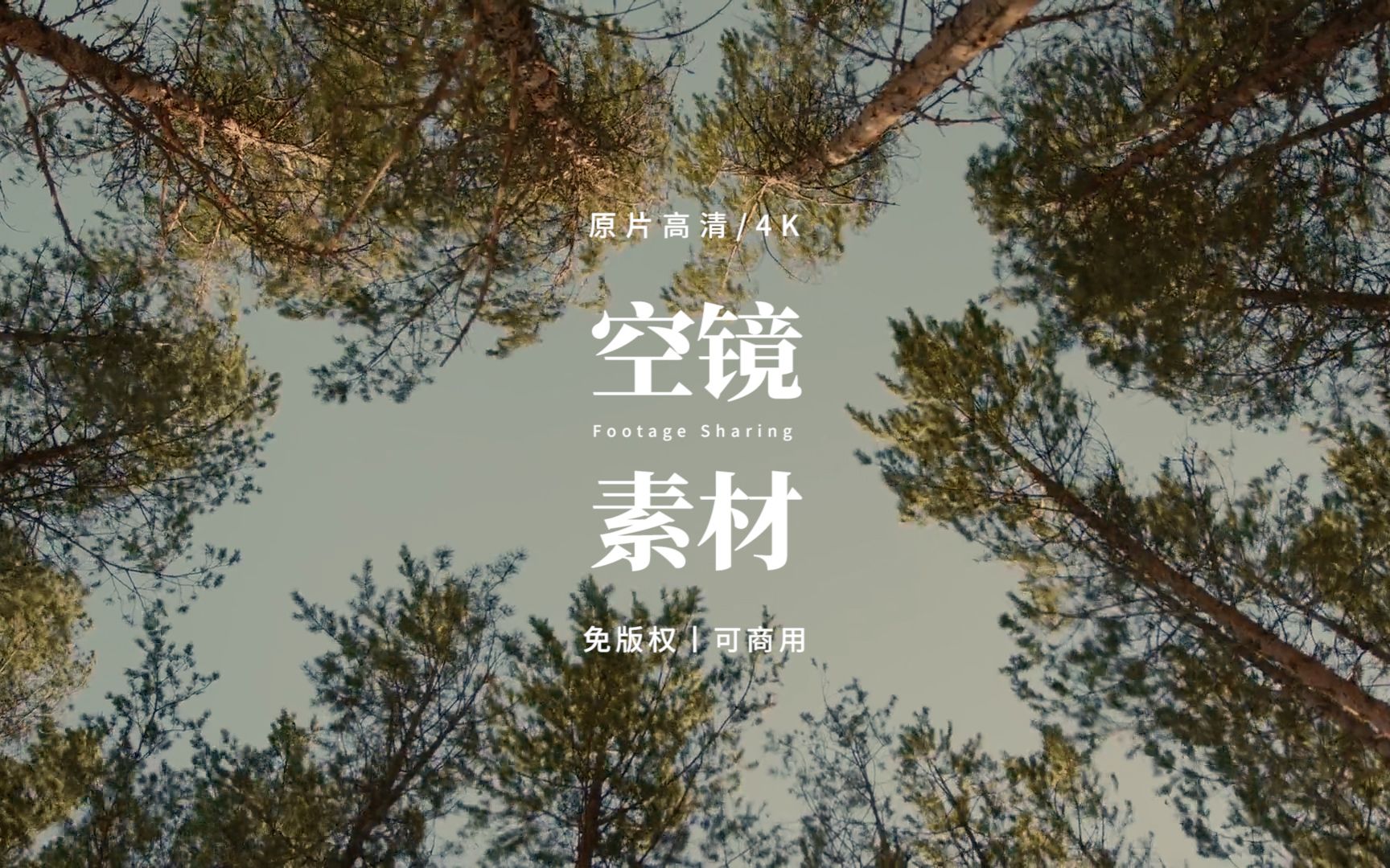 【免版权空镜】“From green to yellow”