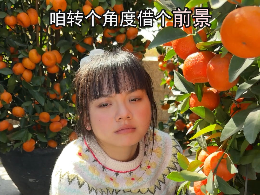 年桔拍照技巧，年桔拍照姿势，年桔拍照角度