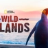 【国家地理】野性岛屿 全4集 1080P 中英字幕 Wild Islands