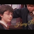 Harry Potter—欢迎走进哈利波特的魔法世界！