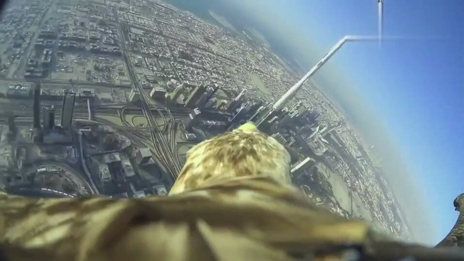 鹰的视力到底多厉害，一分钟视频展示高空飞行中找到陆地上的主人