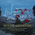 Skyline Orchestra 加长版 以你的心诠释我的爱OST