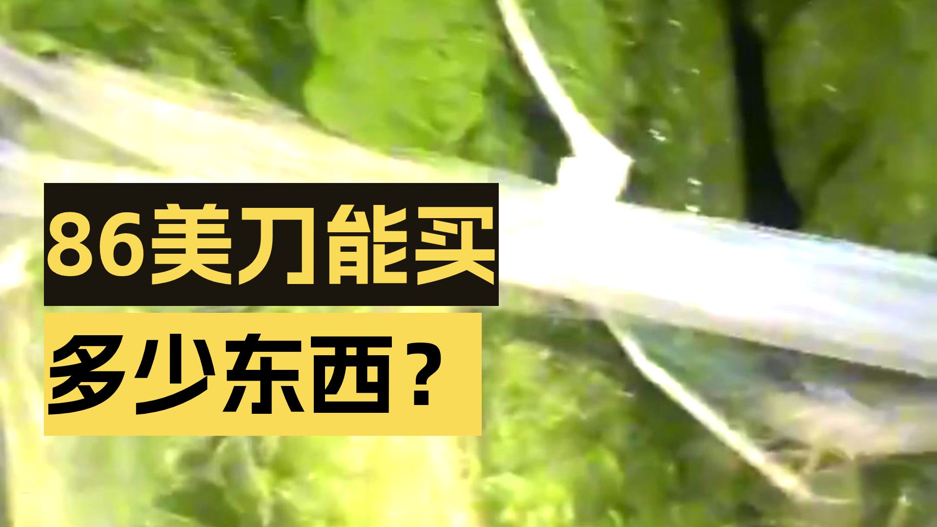 美国一次正常购物（86美刀能买多少）