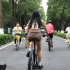 武汉东湖绿道骑行，骑行氛围真好，但是真的不好骑啊……