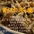 #冬姜制作 冬姜亦称干姜，在广东本地人家庭里最是常见；他们每年必做，来年吃上一整年，用他们祖辈传承下来的经验，康健地生活