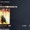 一夜之间多了好多狗儿子