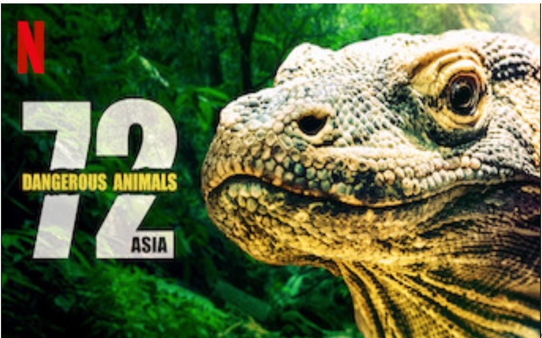 Netflix】72大危险动物：亚洲篇1080P中英文双语字幕72 Dangerous Animals Asia (2019)-哔哩哔哩