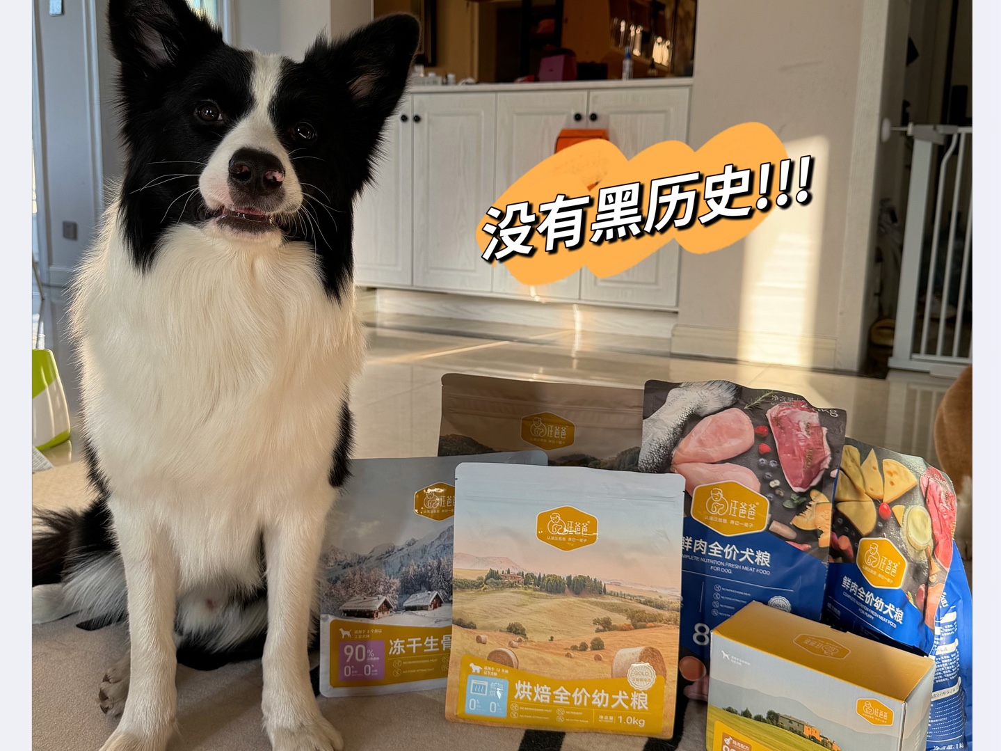 狗粮和狗粮的区别怎么这么大