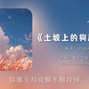 “狗儿要听狗儿歌”||《土坡上的狗尾巴草