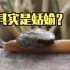 【漫话蜗牛】一 什么是蜗牛？
