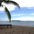 空镜头视频素材 海滩椰子树沙滩 素材分享