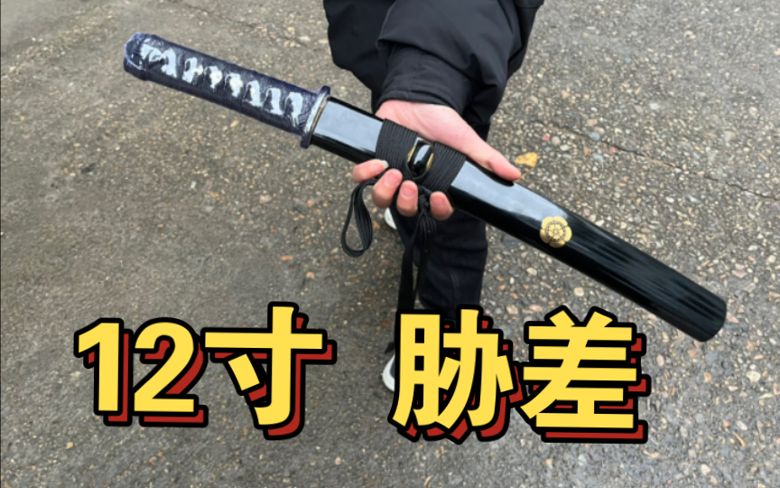 一出手没对手 ！【武者】 12寸 胁差