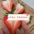 【素材•自然造物】草莓剖面结构