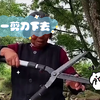 这一剪刀下去，我怕手都无了