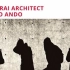 【记录观点】安藤忠雄：武士建筑师 Tadao Ando: Samurai Architect