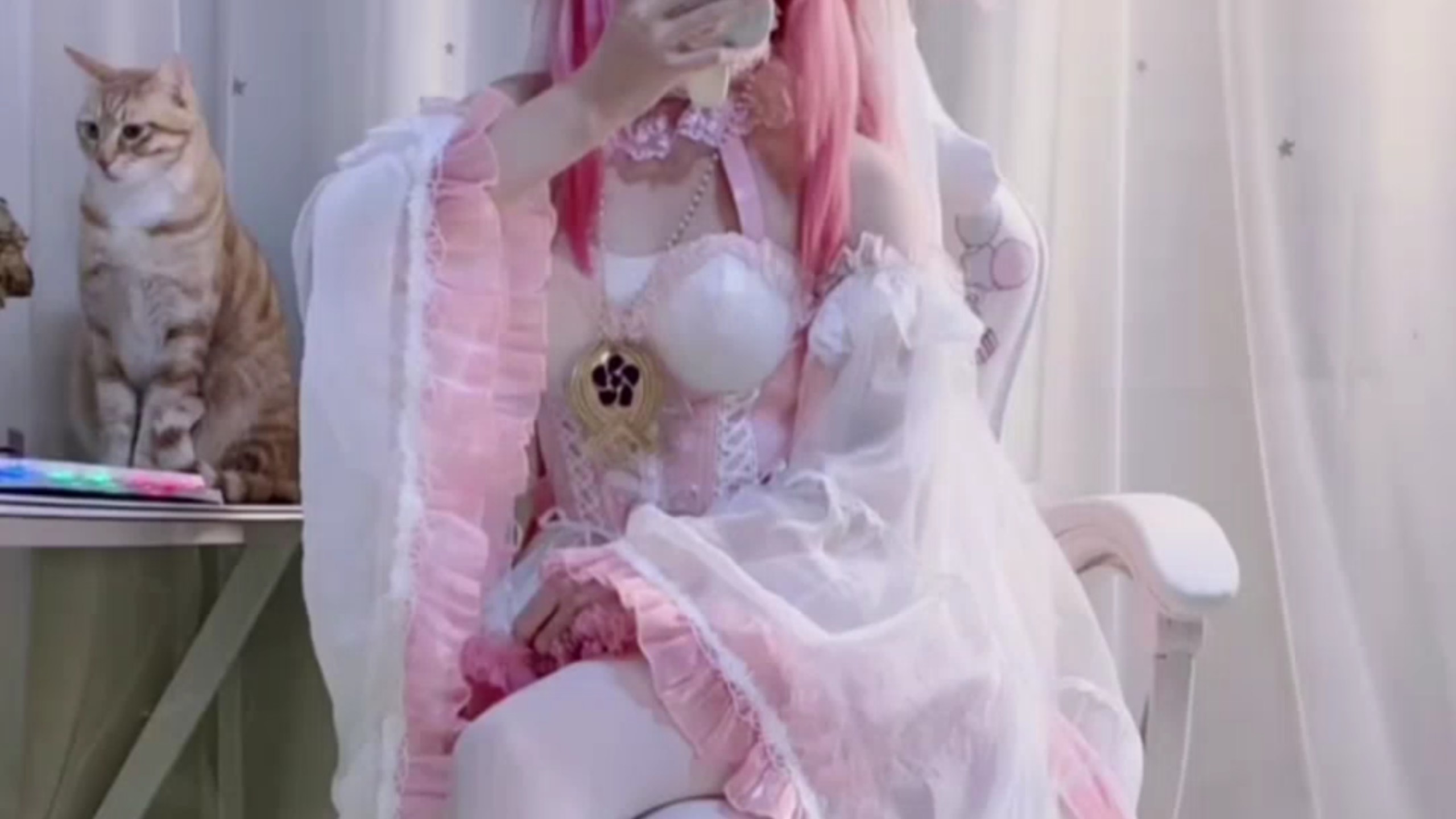 抓到一只小狐狸～