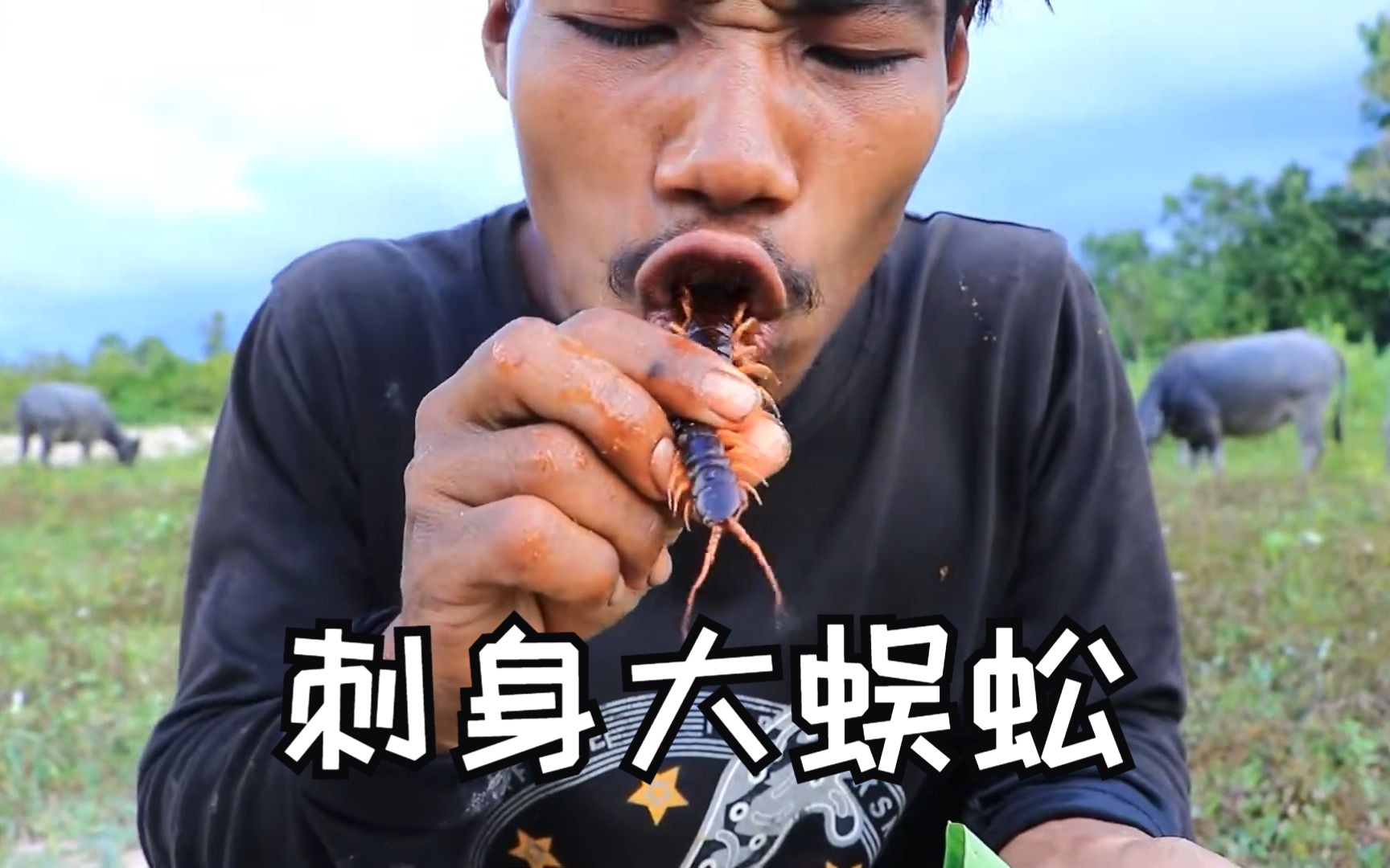 越南乌鸦哥爱炫的“刺身大蜈蚣”