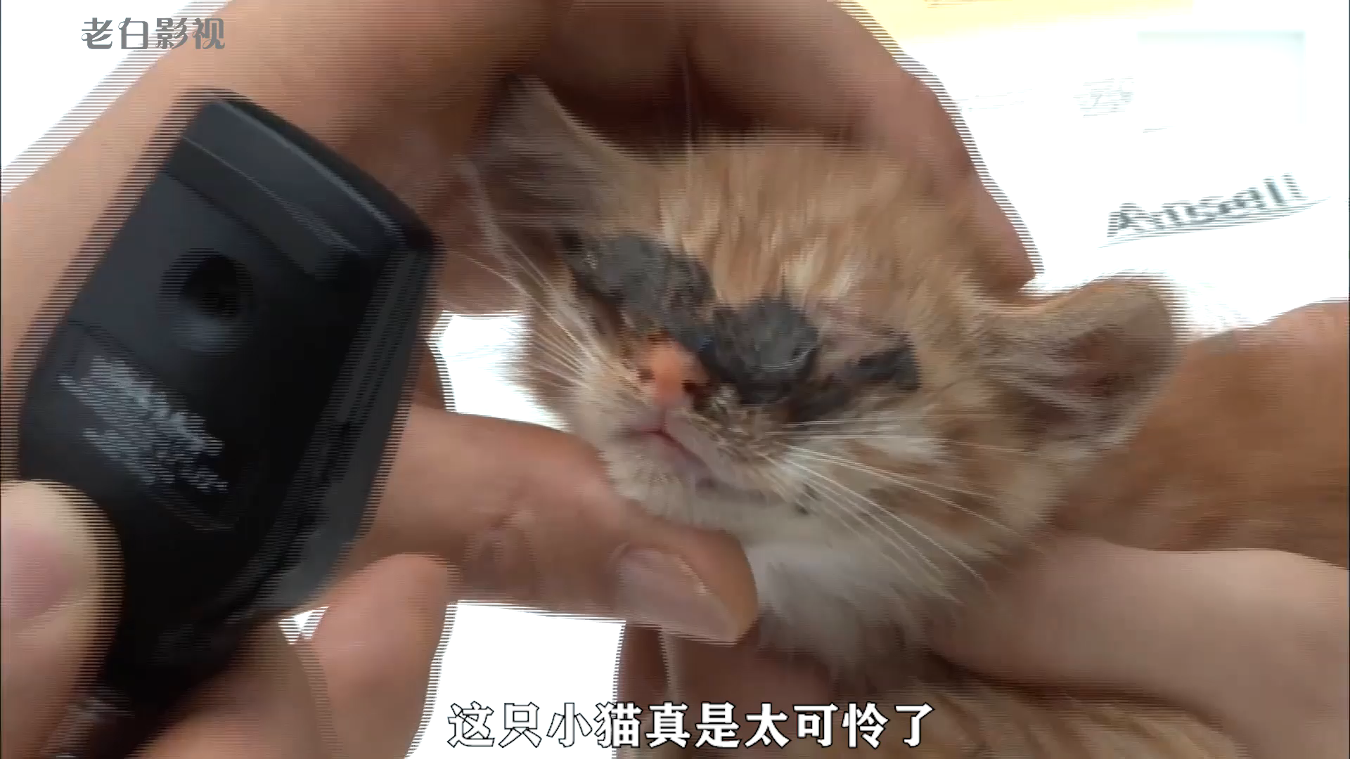 视频封面