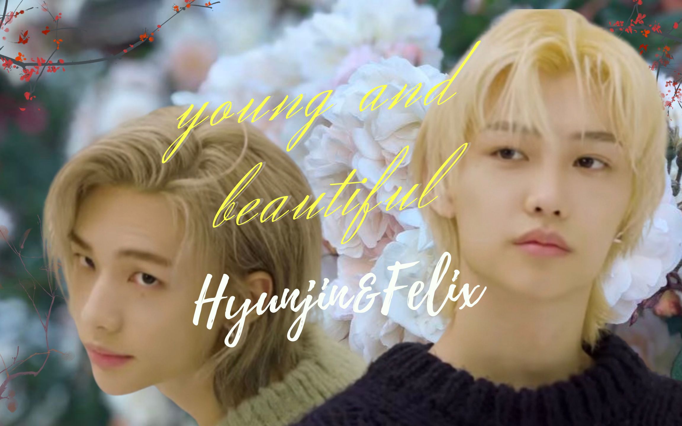 【stray kids 辰菲"我深知你的爱经久绵长/young and beautiful/