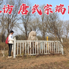 探访唐武宗陵墓，当年他让26万僧尼还俗，1176年后墓地现状如何