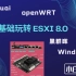 ESXI All in one | ESXI8.0安装iKuai+openwrt双软路由、黑群晖（新装及重新启用原有硬盘