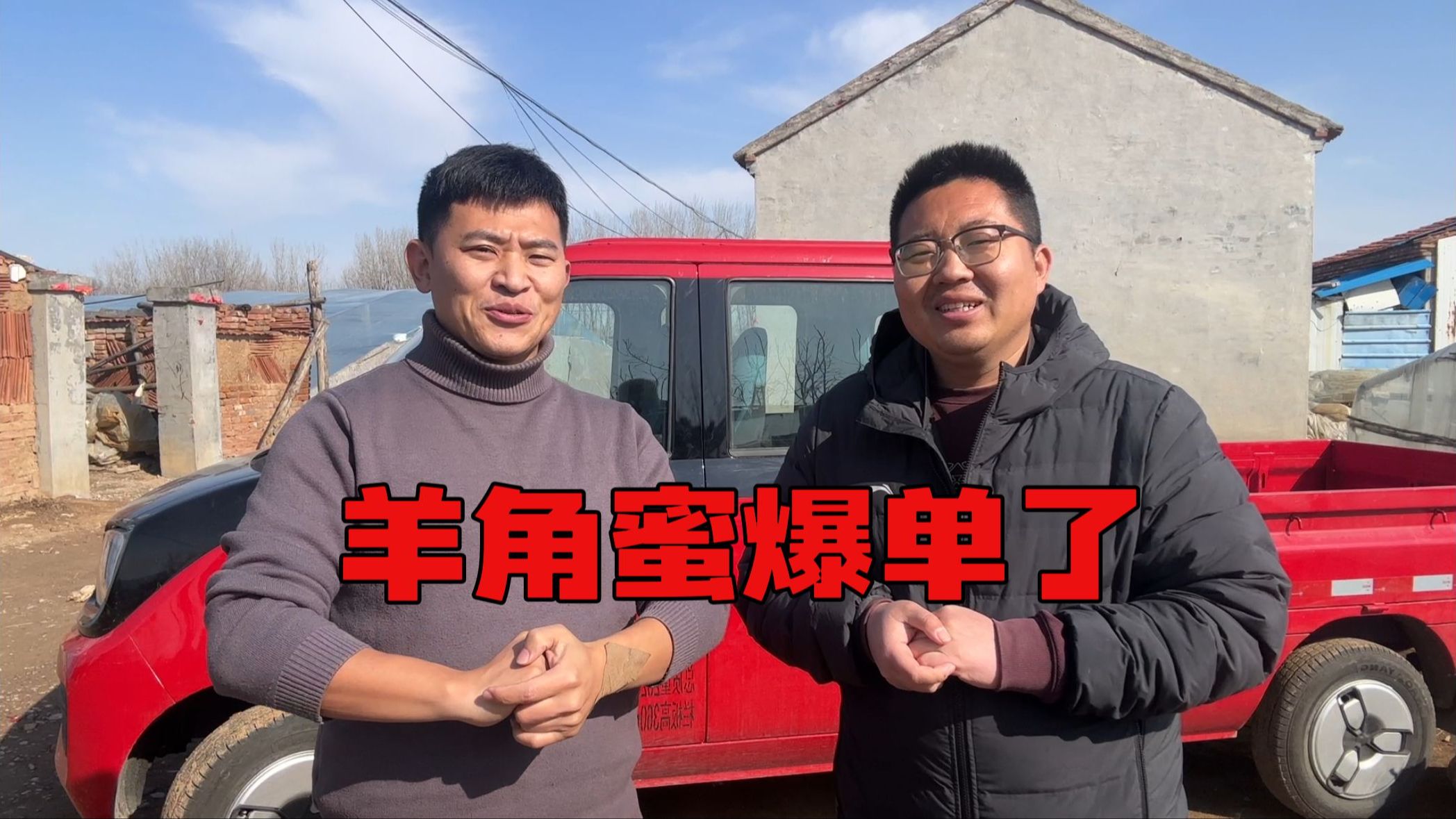 爆单了！8000斤羊角蜜一小时售空，再炸个福利！